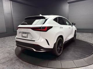 Lexus NX 350 4WD Sport Utility Vehicles 2024 — photo 3