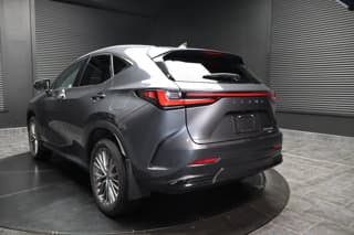 Lexus NX 350h 4WD Sport Utility Vehicles 2024 — photo 6