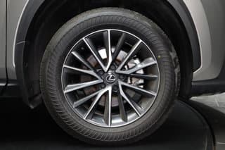 Lexus NX 350 4WD Sport Utility Vehicles 2025 — photo 10