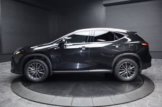 Lexus NX 350h 4WD Sport Utility Vehicles 2025 — photo 7