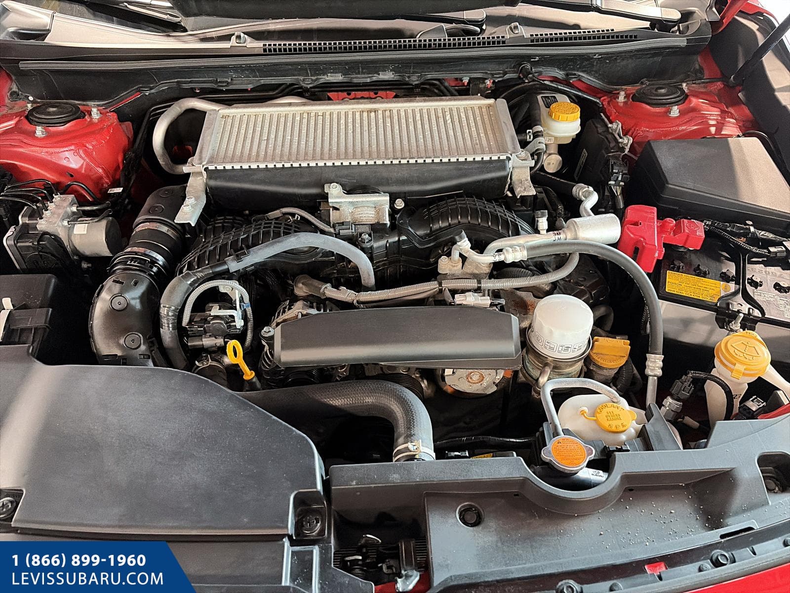 Subaru WRX 2024 — photo 15