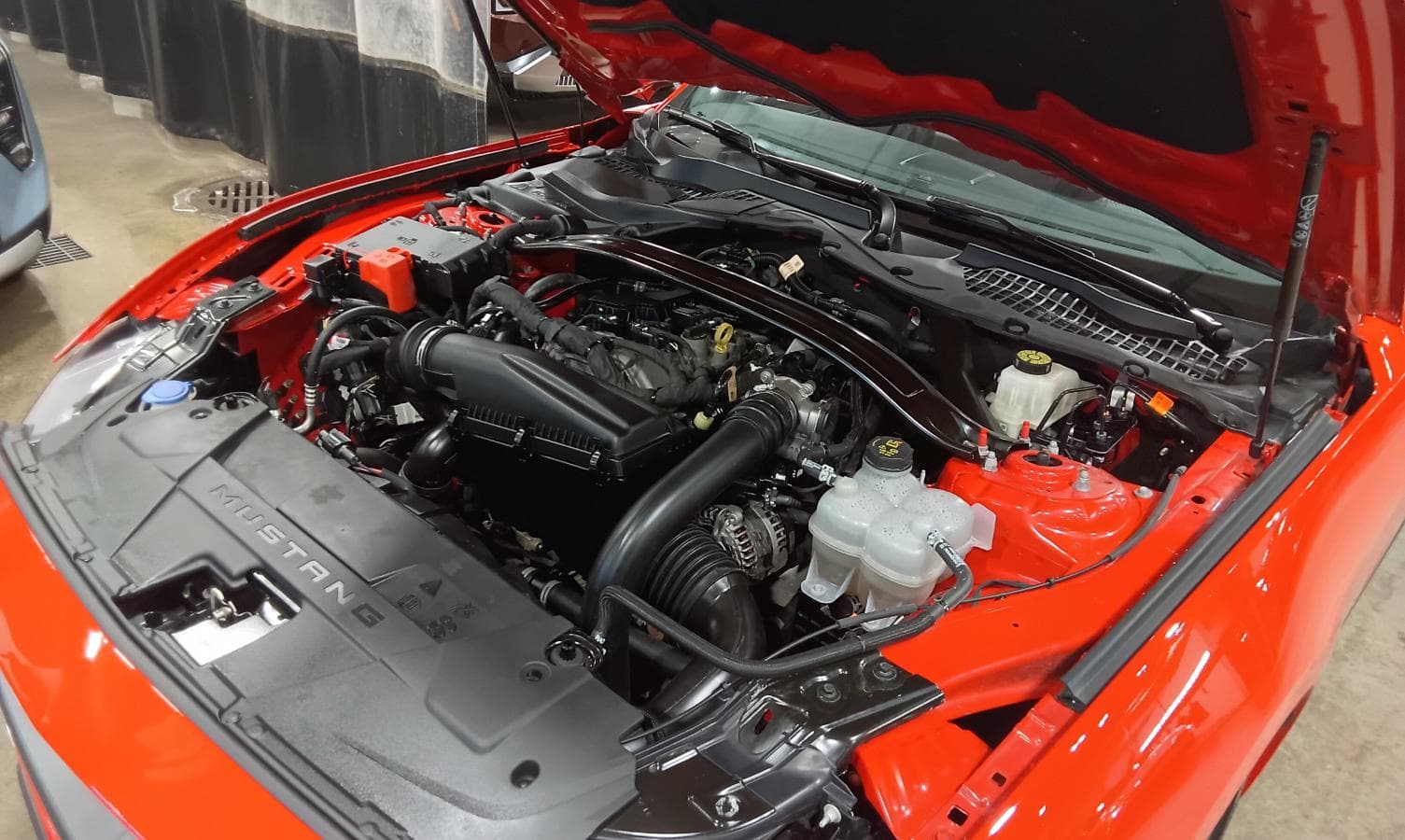Ford Mustang 2025 — photo 12
