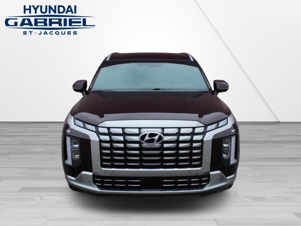Hyundai Palisade 2024 — photo 2
