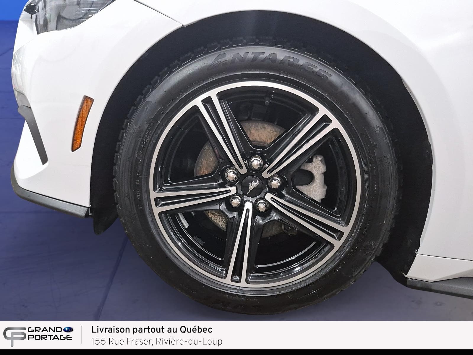 Ford Mustang 2025 — photo 7