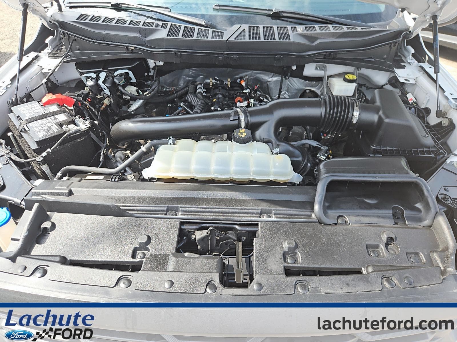 Ford F-150 2024 — photo 9