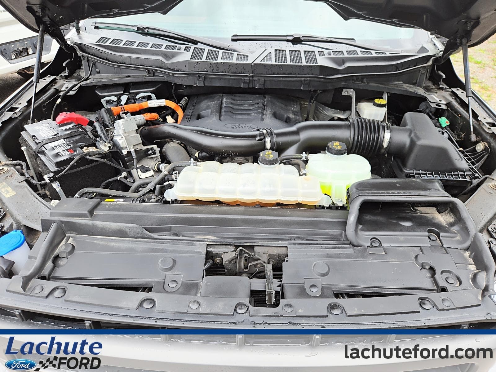 Ford F-150 2023 — photo 9