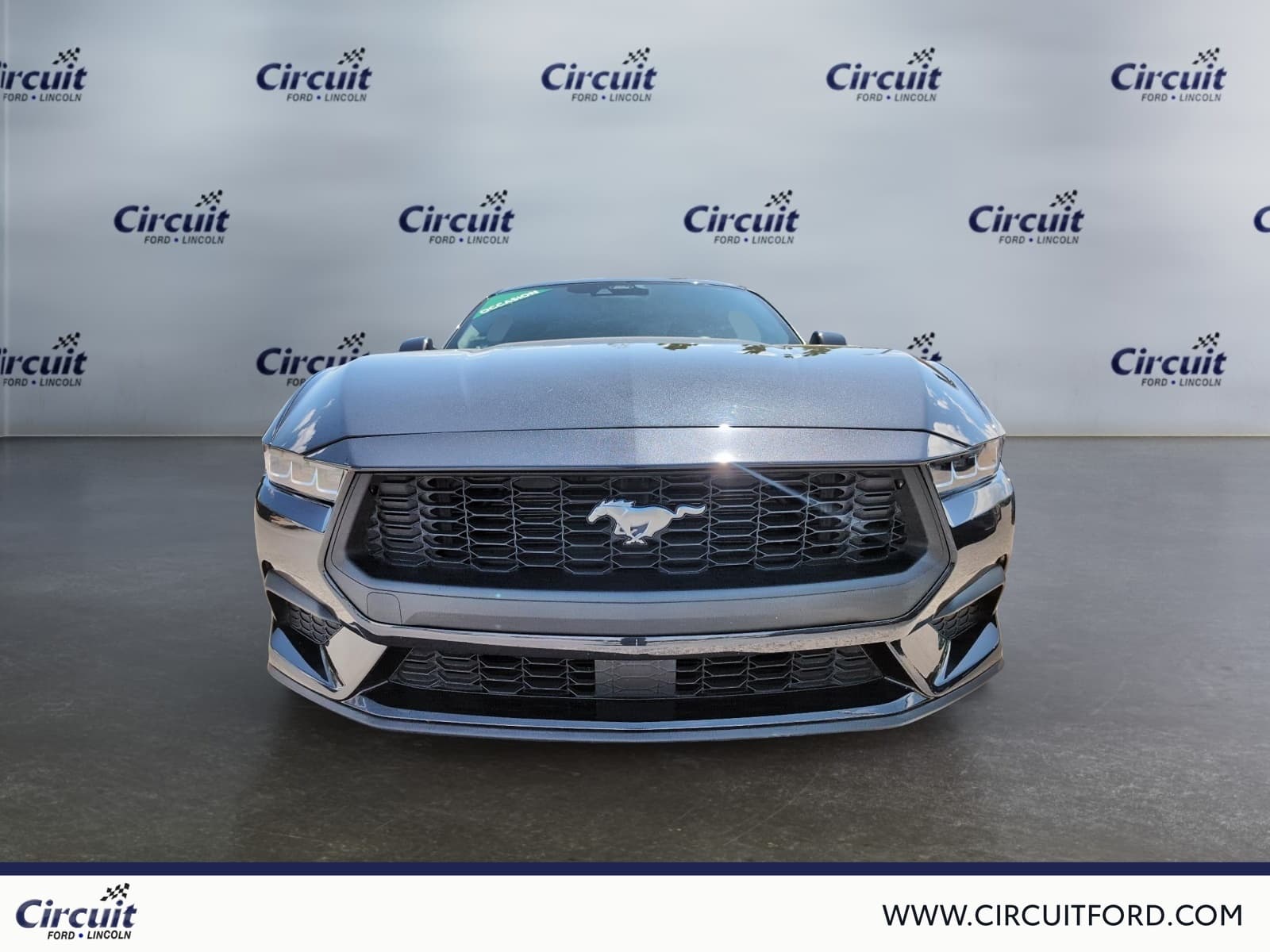 Ford Mustang 2024 — photo 2