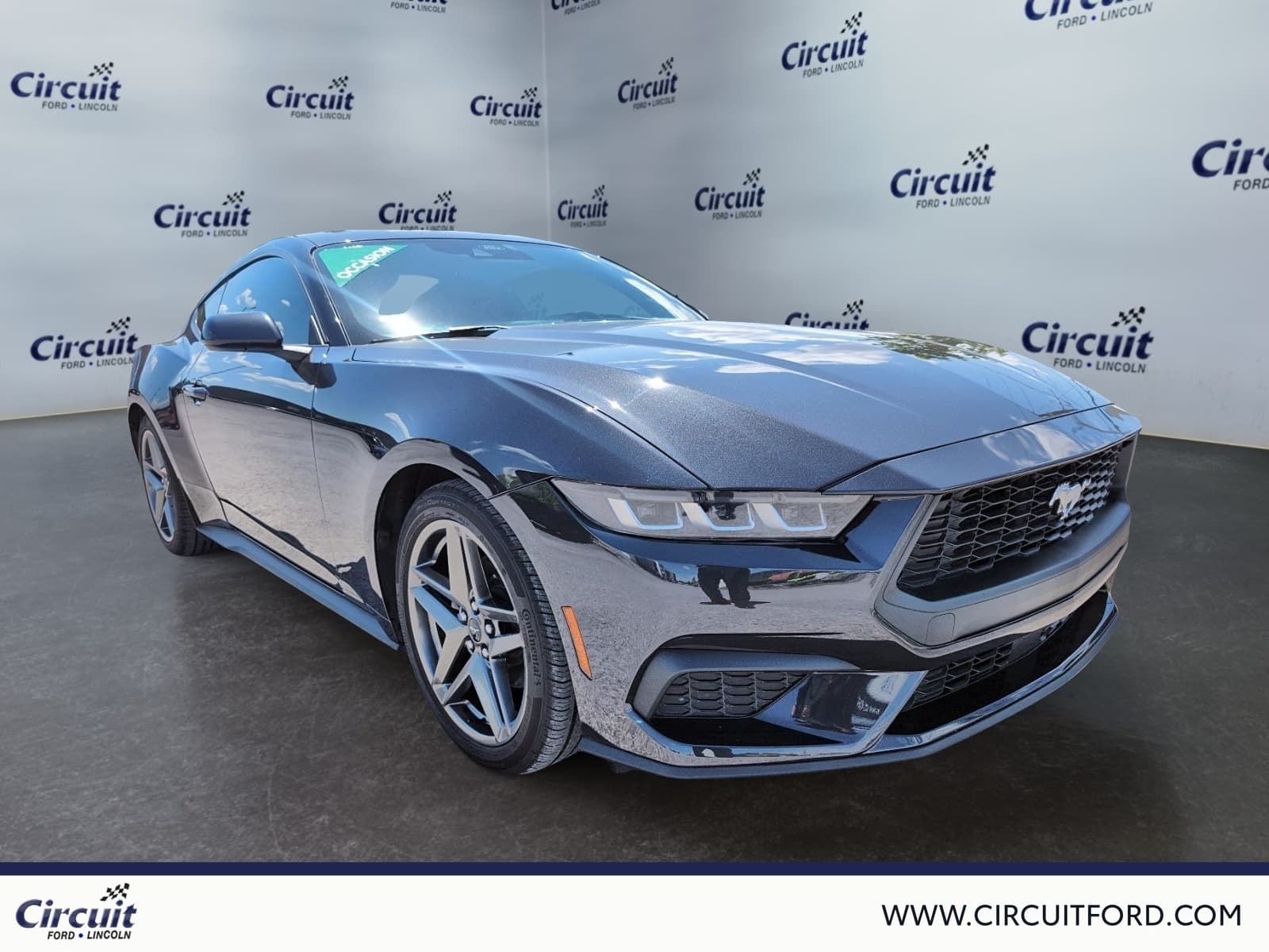 Ford Mustang 2024 — photo 3