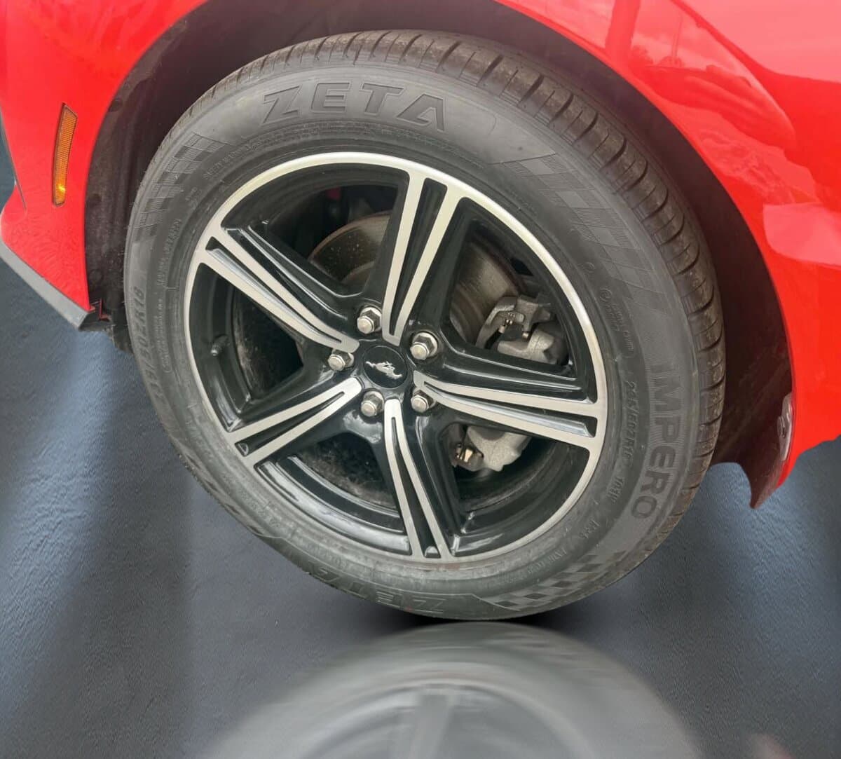 Ford Mustang EcoBoost haut niveau &agrave; toit fuyant 2025 — photo 11