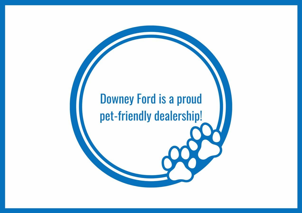 Ford F-150 2024 — photo 5