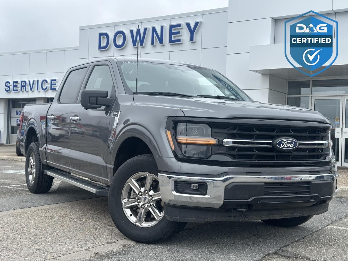 Ford F-150 2024 à vendre à Saint John