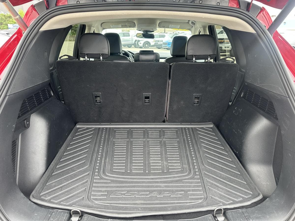 Ford Escape 2021 — photo 5