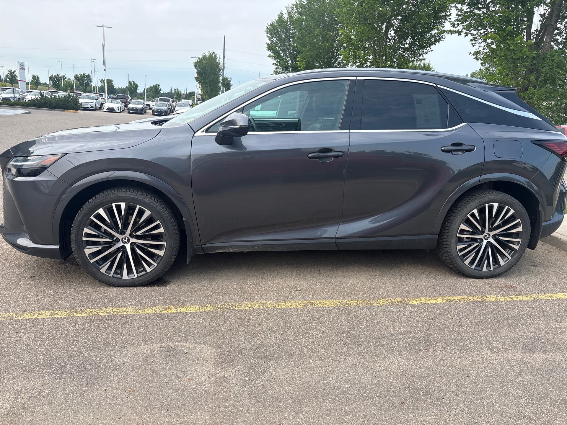 Lexus RX 350 Luxury 2024 — photo 2