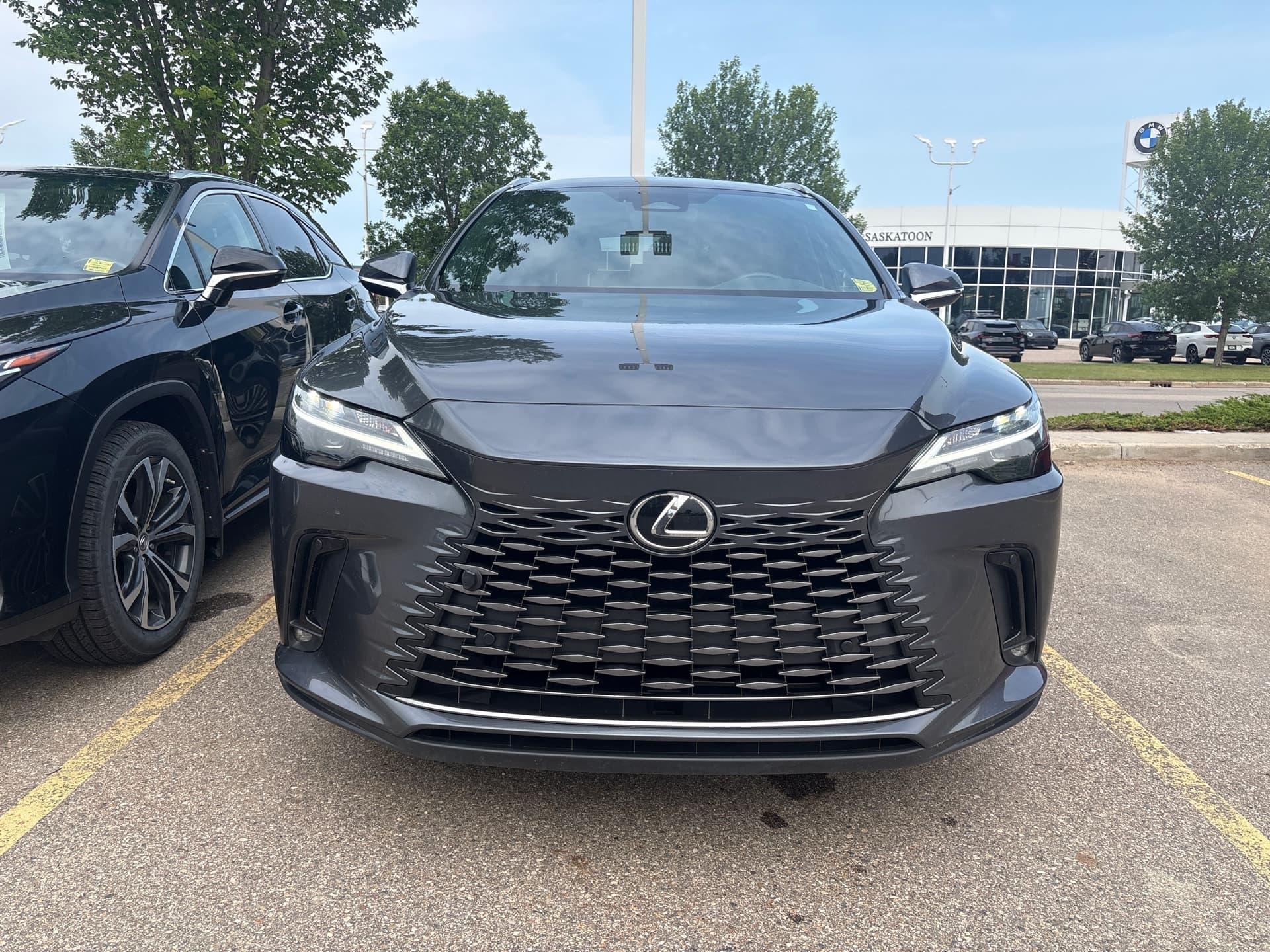 Lexus RX 350 Luxury 2024 — photo 4