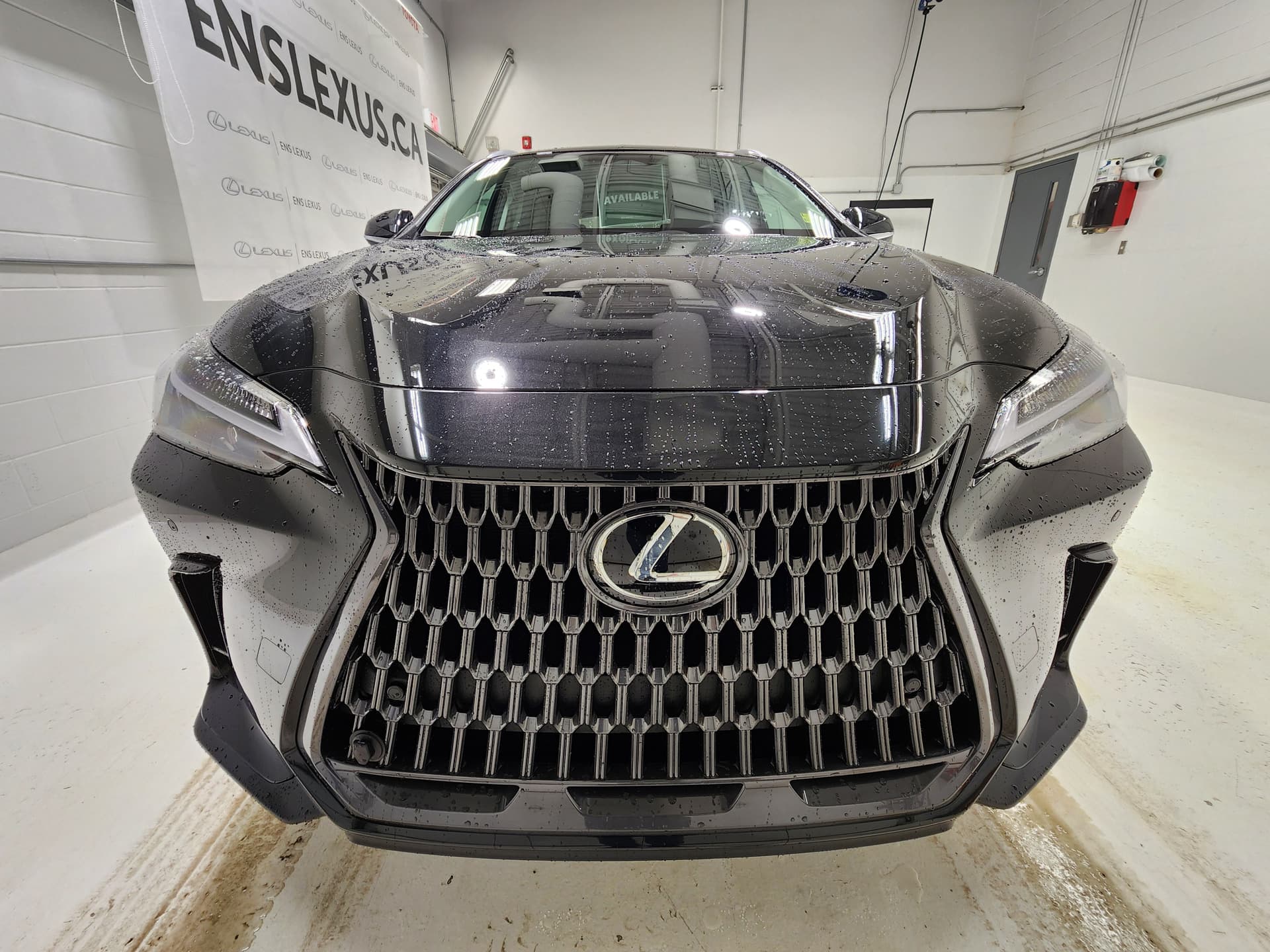 Lexus NX 350h 2025 — photo 4