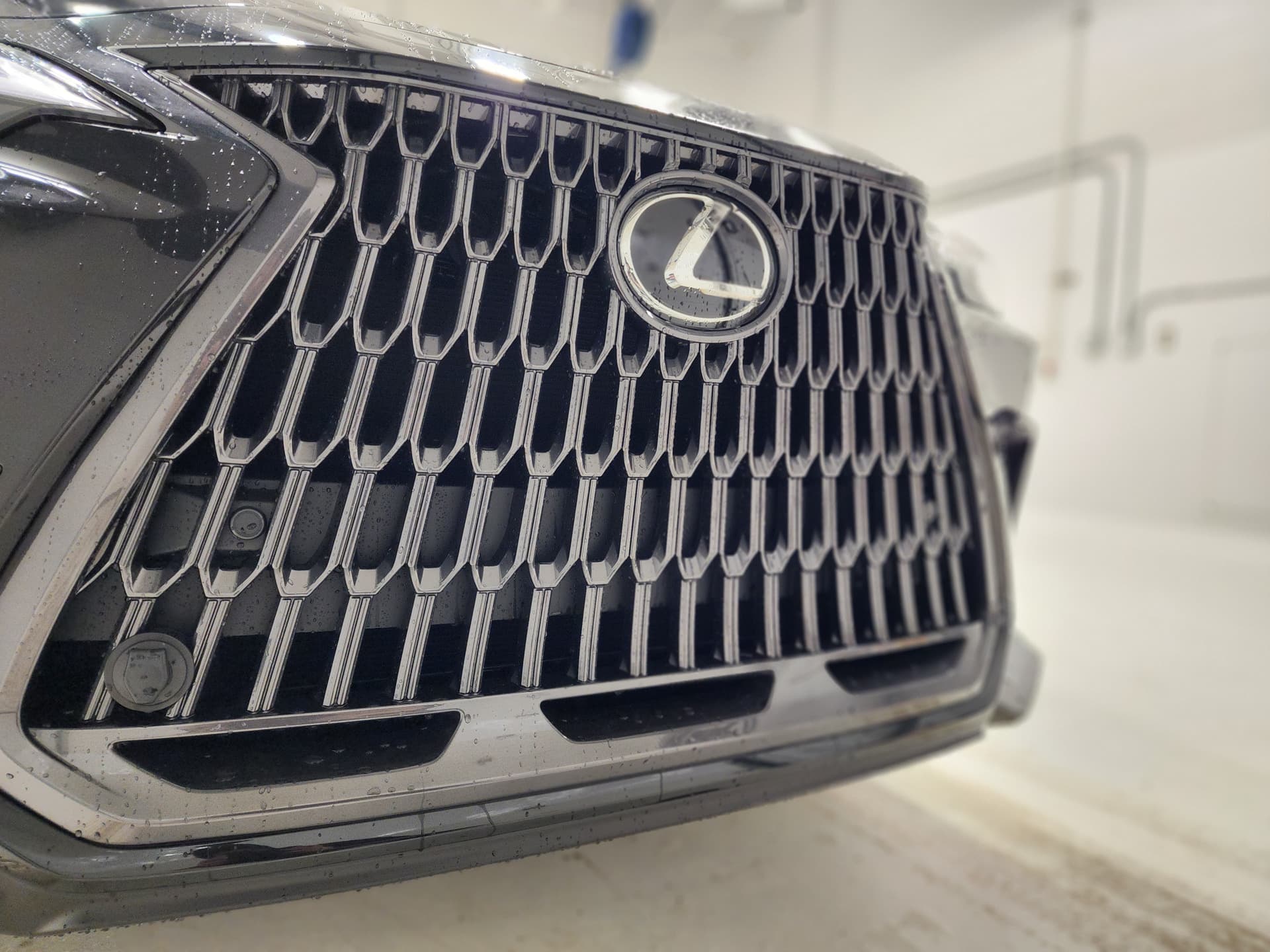 Lexus NX 350h 2025 — photo 6