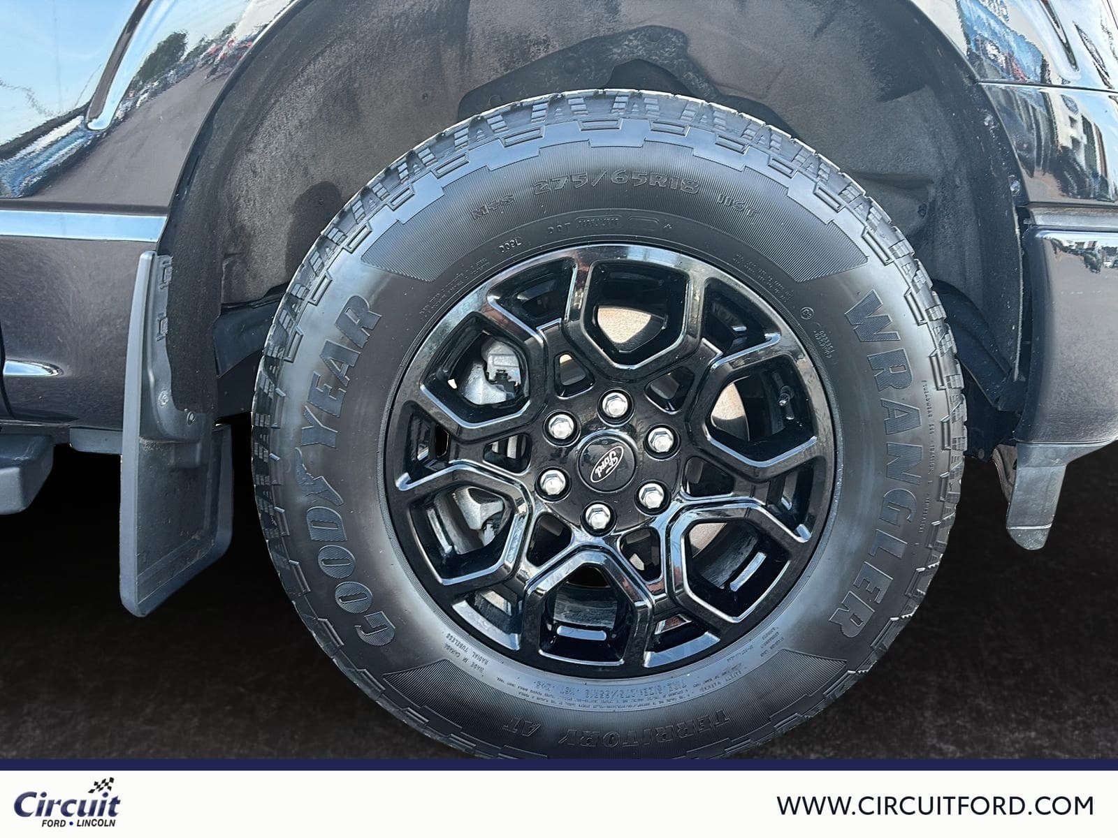 Ford F-150 2024 — photo 7