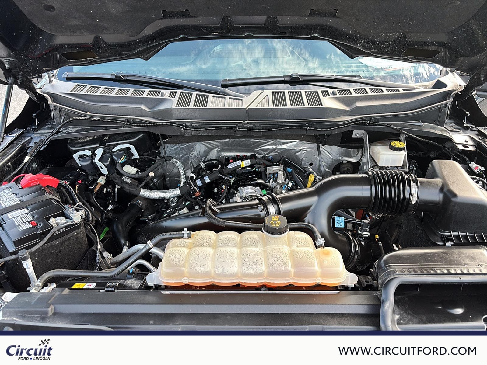 Ford F-150 2024 — photo 8