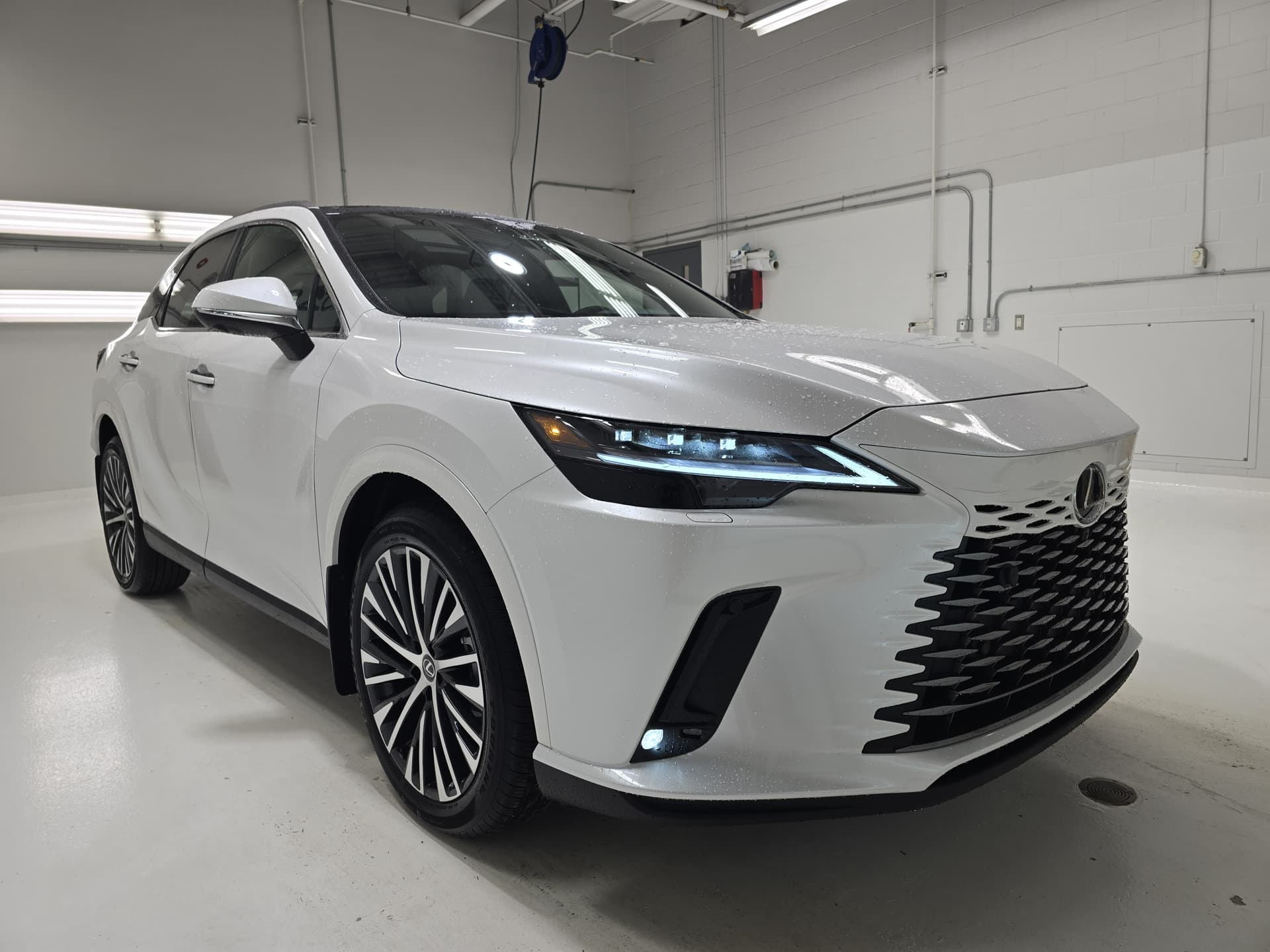 Lexus RX 350 Ultra Luxury 2024 — photo 2