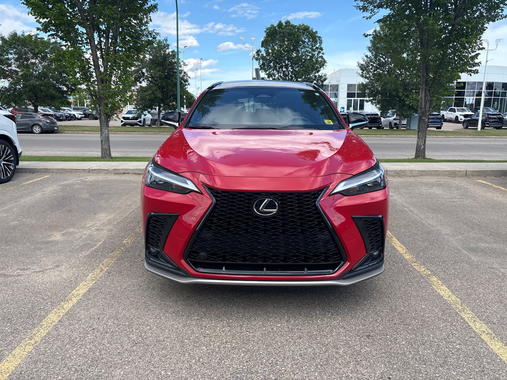 Lexus NX 350 F SPORT 2 2025 — photo 12