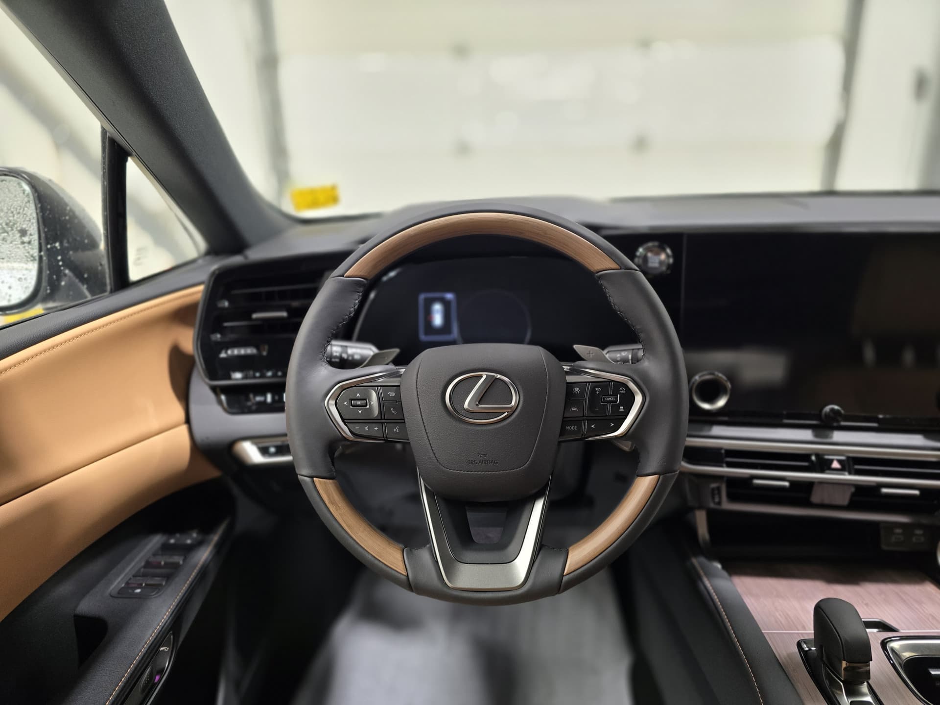 Lexus RX 350 Luxury 2023 — photo 7