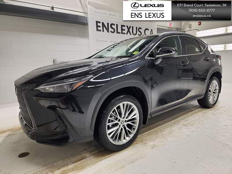 Lexus NX 350h 2025 — photo 2