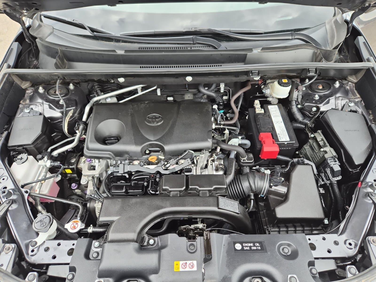Toyota RAV4 2019 — photo 12