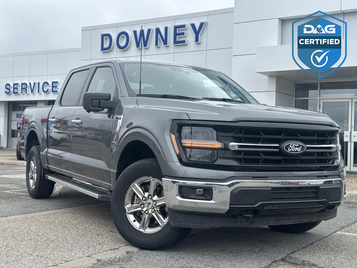 Ford F-150 2024 à vendre à Saint John