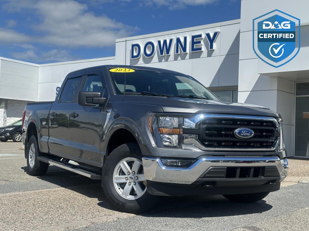 Ford F-150 2023 à vendre à Saint John