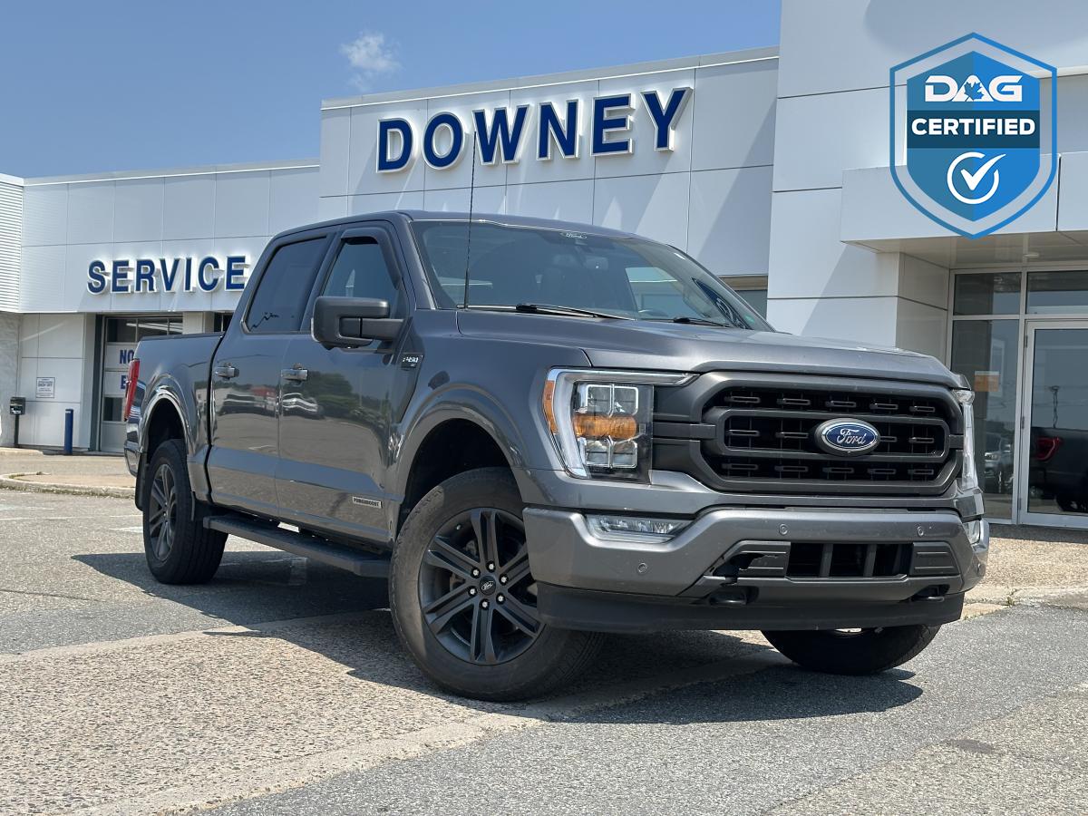 Ford F-150 Hybrid 2022 à vendre à Saint John