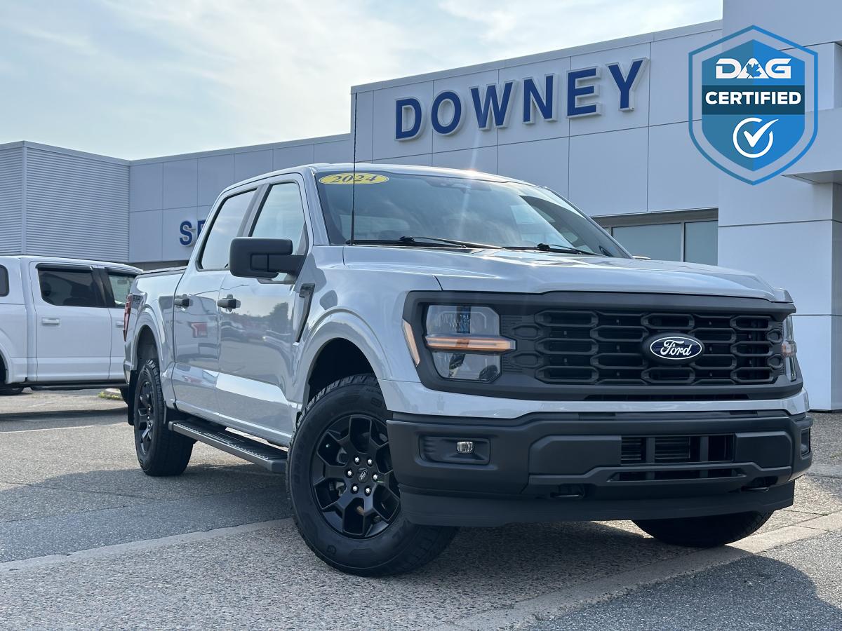Ford F-150 2024 à vendre à Saint John